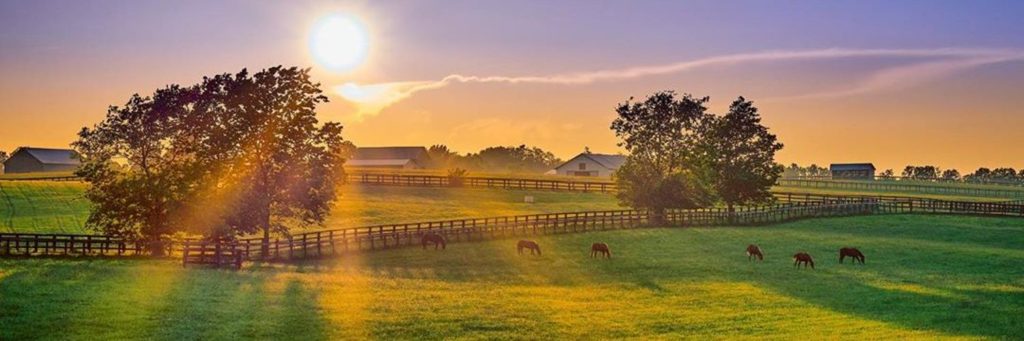 keep-kentucky-great-bluegrass