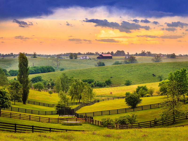 Kentucky Horse Farm Tours from the Comfort of Your Living Room KY