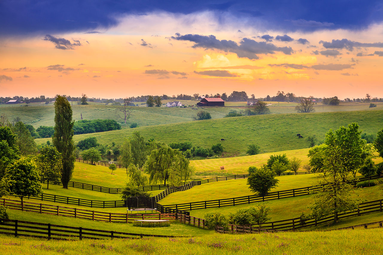 Kentucky Horse Farm Tours from the Comfort of Your Living Room KY