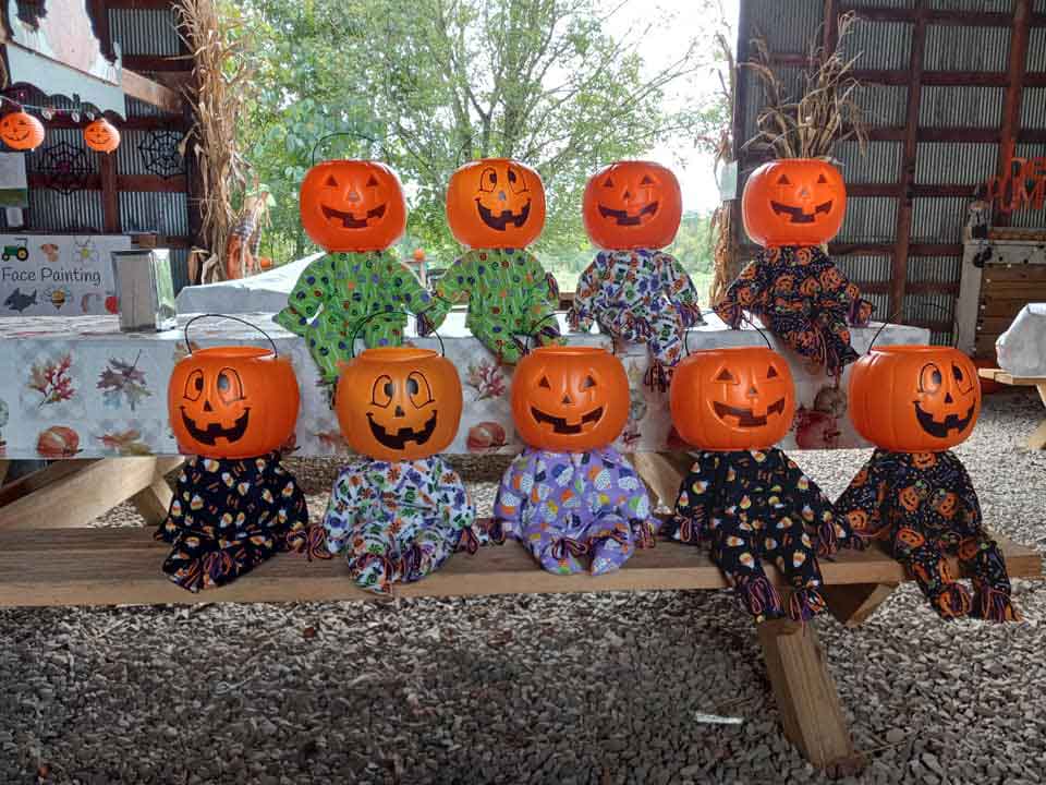 sally gap farms pumpkin patch